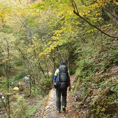 DSCF5011