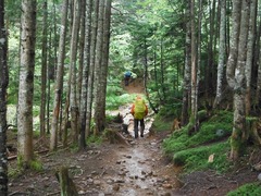 DSCF5524
