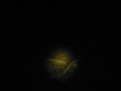 DSCF0270