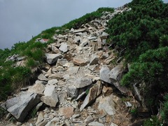 DSCF2547