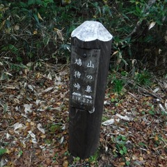 DSCF5927