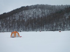 DSCF6056