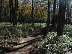 DSCF3869