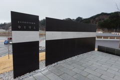XE2B3587