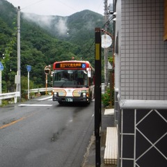 DSCF1381