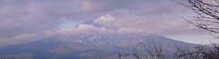 R0107440_2