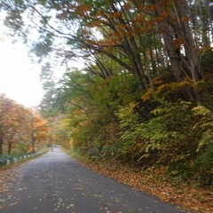 DSCF4958