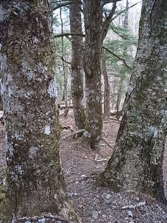 R0011535
