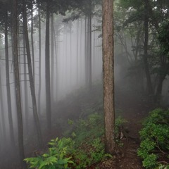 DSCF1168