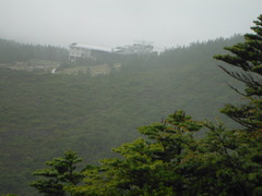 DSCF2413