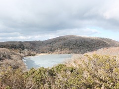 DSCF4422