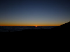 DSCF3594