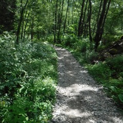DSCF1596