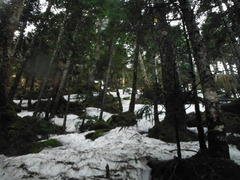 DSCF2397