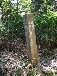 R0106416