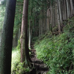 DSCF1144