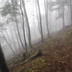DSCF5618