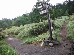 DSCF2226