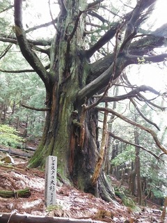 DSCF0292