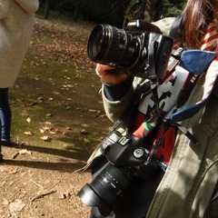 DSCF5070