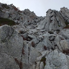 DSCF3492