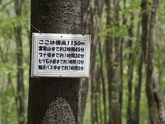 R0011185
