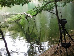 DSCF3889