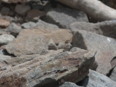 R0012746