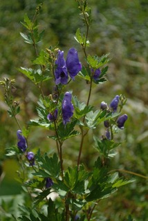DSCF3734_2