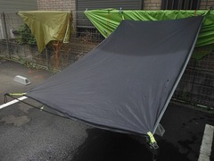 DSCF3684