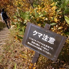 R9323029