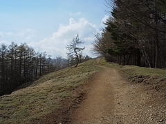 R0011229