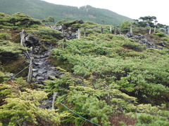 DSCF2421
