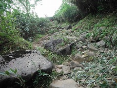 DSCF2457