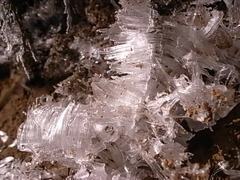 R0107411
