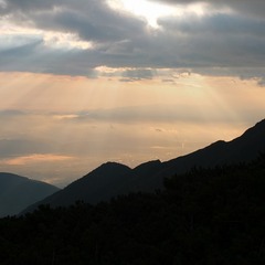DSCF3436
