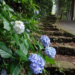 DSCF1080