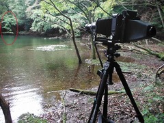 DSCF3899