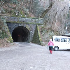 DSCF4391