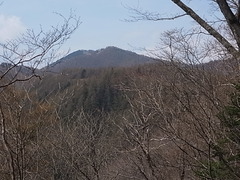 R0011216