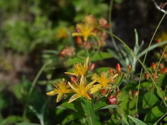R0013222