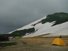 DSCF2498