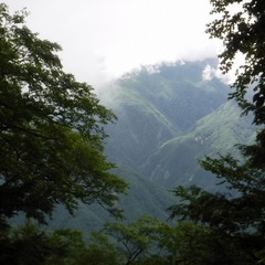 DSCF1311