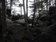 DSCF2265