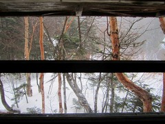 DSCF0064