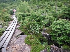 DSCF2230