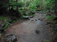 DSCF2233