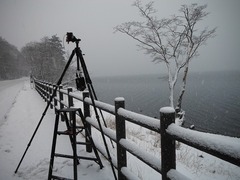 DSCF6042