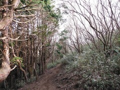 DSCF0265