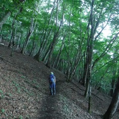 DSCF5593